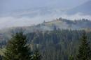 Яблуницкий перевал. Клочья долинного тумана на холмах, Ивано-Франковская область, Национальные природные парки 