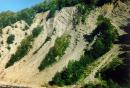 Yaremche. Paleogene flysch rock on the banks of the Prut, Ivano-Frankivsk Region, Geological sightseeing 