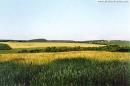 Podilsky Tovtry, Khmelnytskyi Region, National Natural Parks 